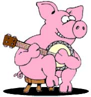 Hobi-Schwein